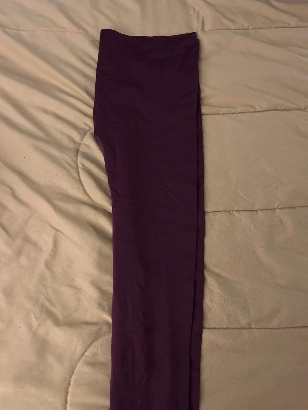 Cato Burgundy Tights